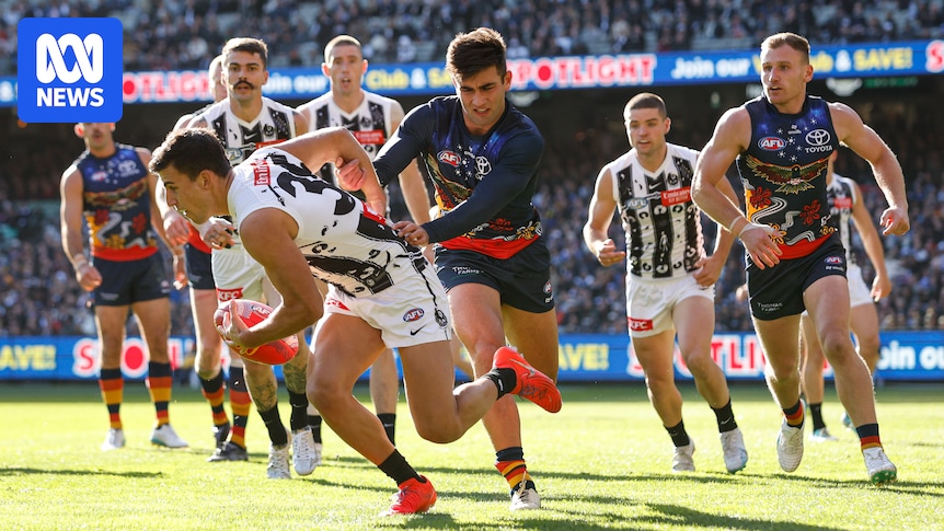 AFL Round 10: Collingwood Vs Adelaide, Port Adelaide Vs Geelong