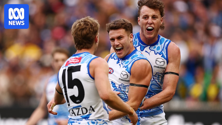 AFL Round 10 Live: Tigers, Roos, Lions & More