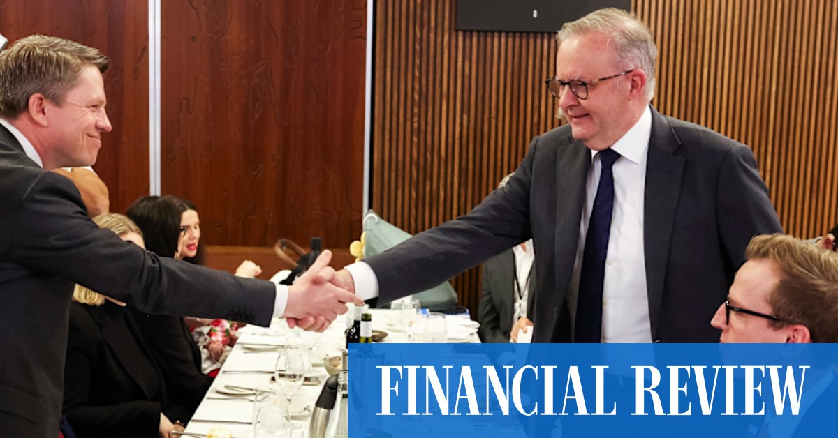 Albanese, Qantas CEOs: A Power Lunch Meeting