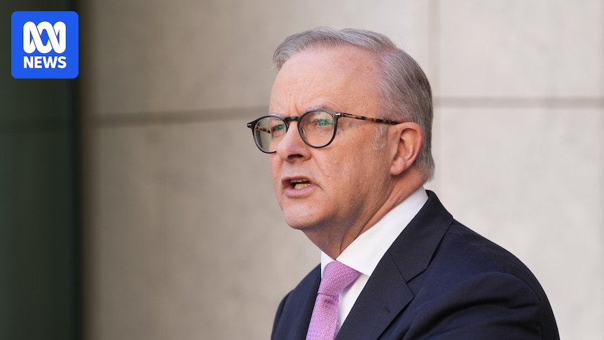 Albanese's Chance: Coalition Split Opens Reform Door