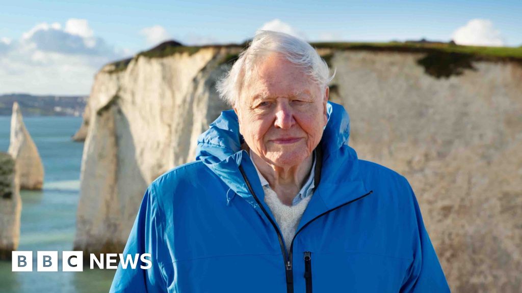 Attenborough's Ocean Film: A Powerful Message