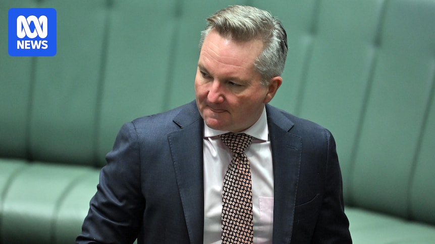 Bowen: Carbon Tariff Possible, Australia Needs More Climate Action