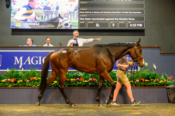 Breeding To Win: 2025 Queensland Derby Preview