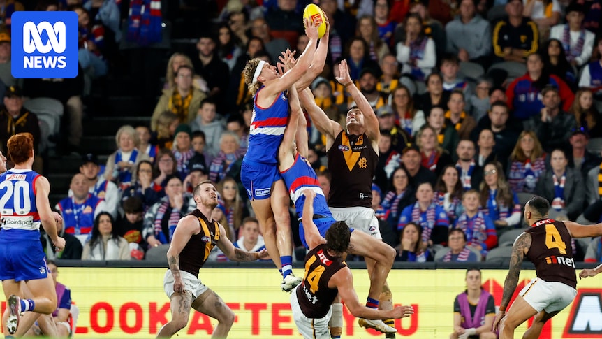 Bulldogs Vs Hawks AFL Live: Round 13 Match Blog