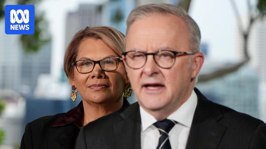 Dorinda Cox: Greens Probe Ends After Departure