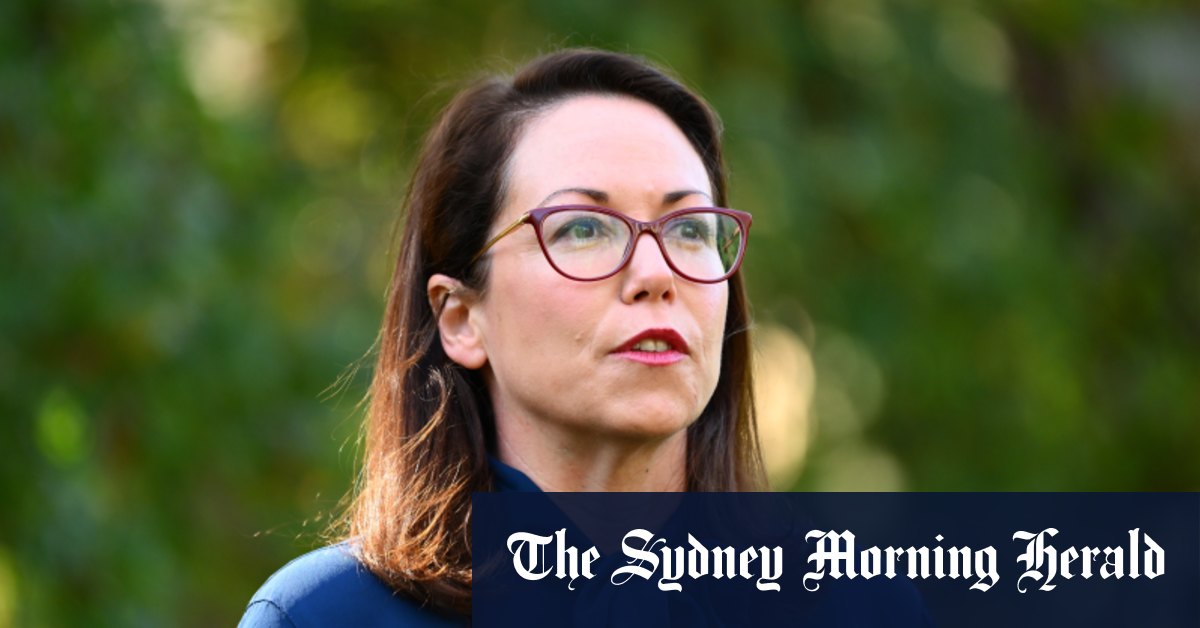 Fire Levy Doubled: Treasurer's Budget Gamble