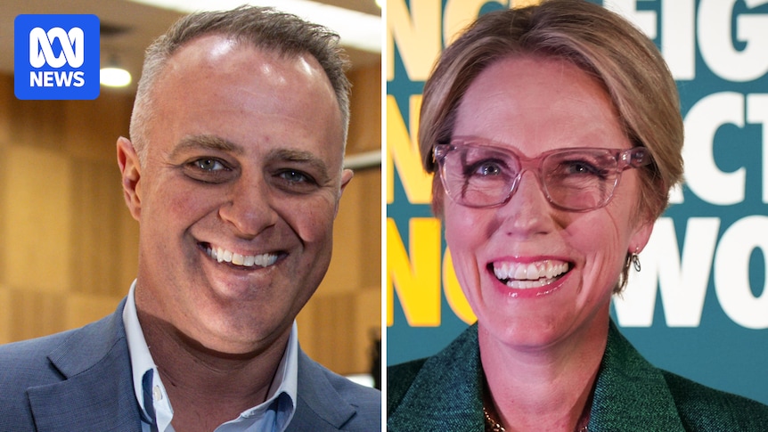 Goldstein Recount Demand: Daniel Challenges Wilson's Win