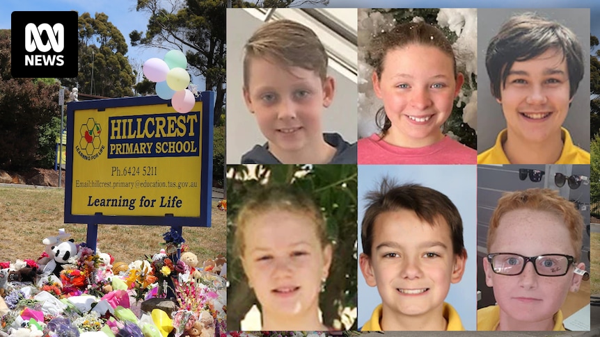 Hillcrest Jumping Castle Tragedy: Verdict Revealed