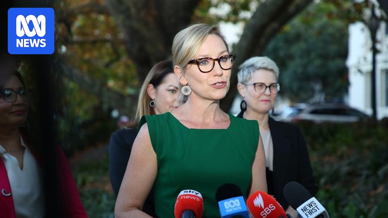 Larissa Waters: Greens Leadership, Wilson Waits