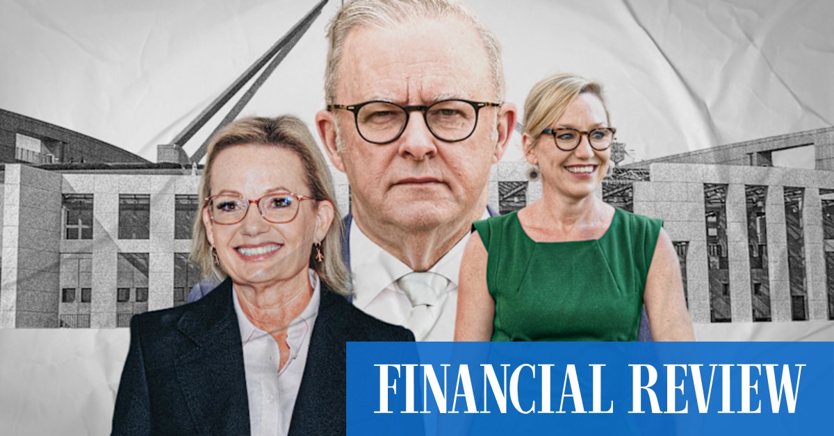 Ley-Waters Alliance: Can They Beat Albanese In 2025?