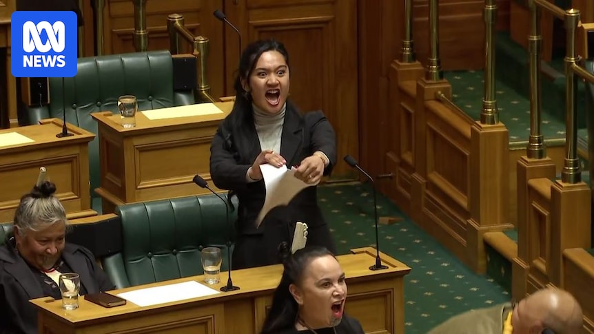 Māori MPs Suspended: Haka Protest At Parliament