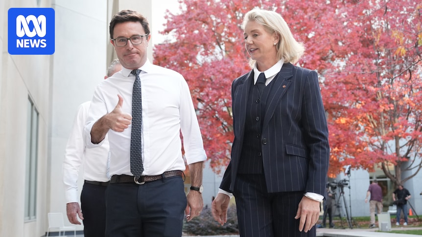 McKenzie Denies Littleproud Misled Nationals