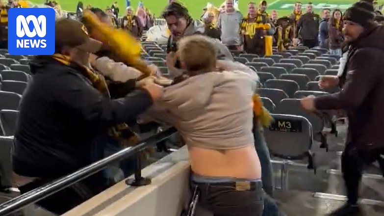 MCG Brawl: Brownlow Contender Involved In Suns Game