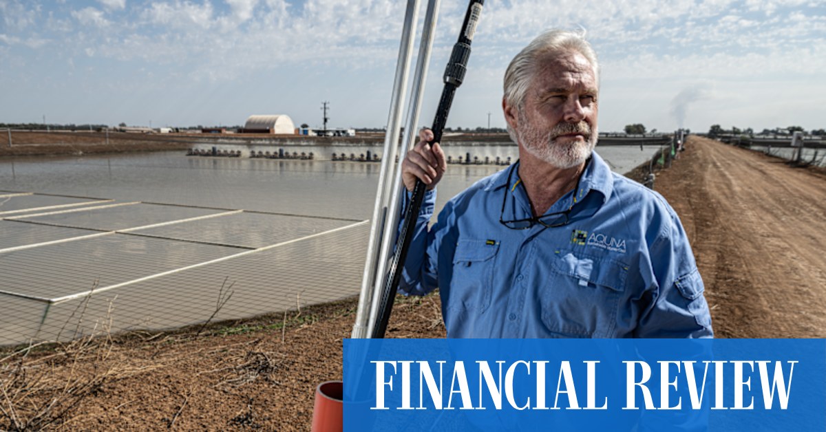 Murray Cod Aquaculture: ASX Giant Potential?