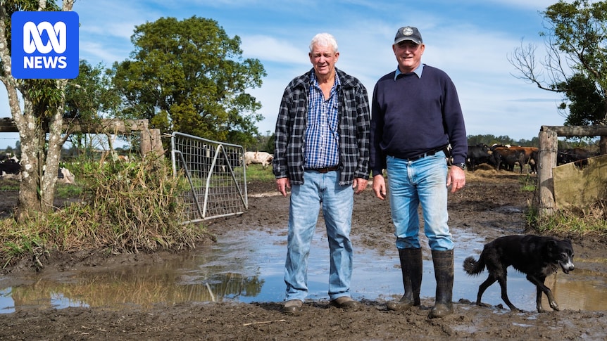 NSW Farmers Count Flood Losses