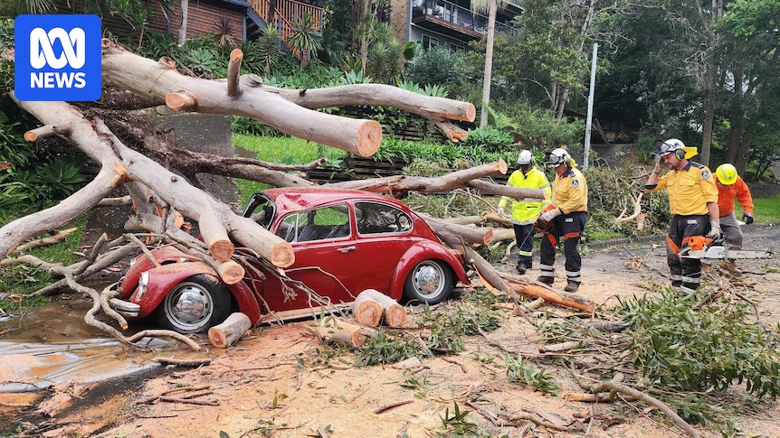 NSW Flash Floods: Urgent Weather Warnings Issued