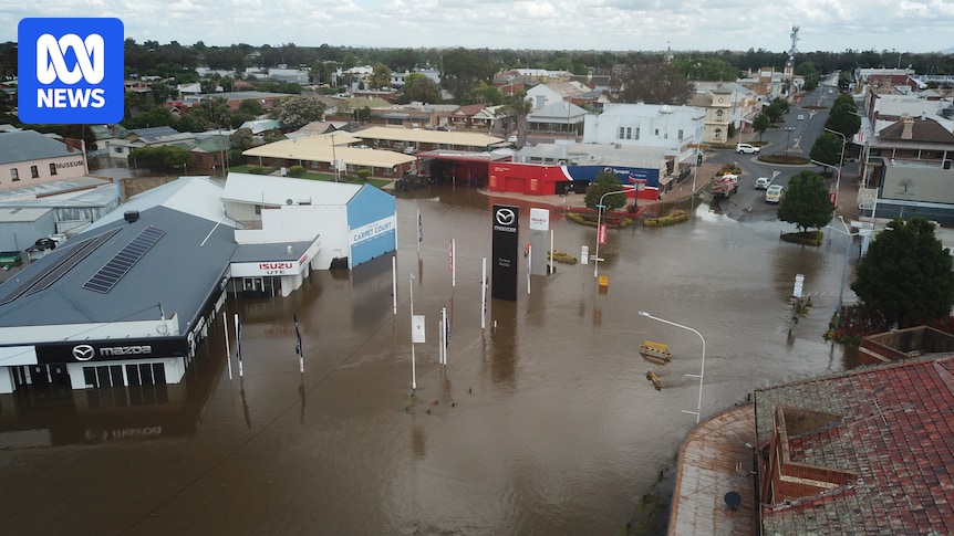 NSW Floods: Devastating Impact In Pictures
