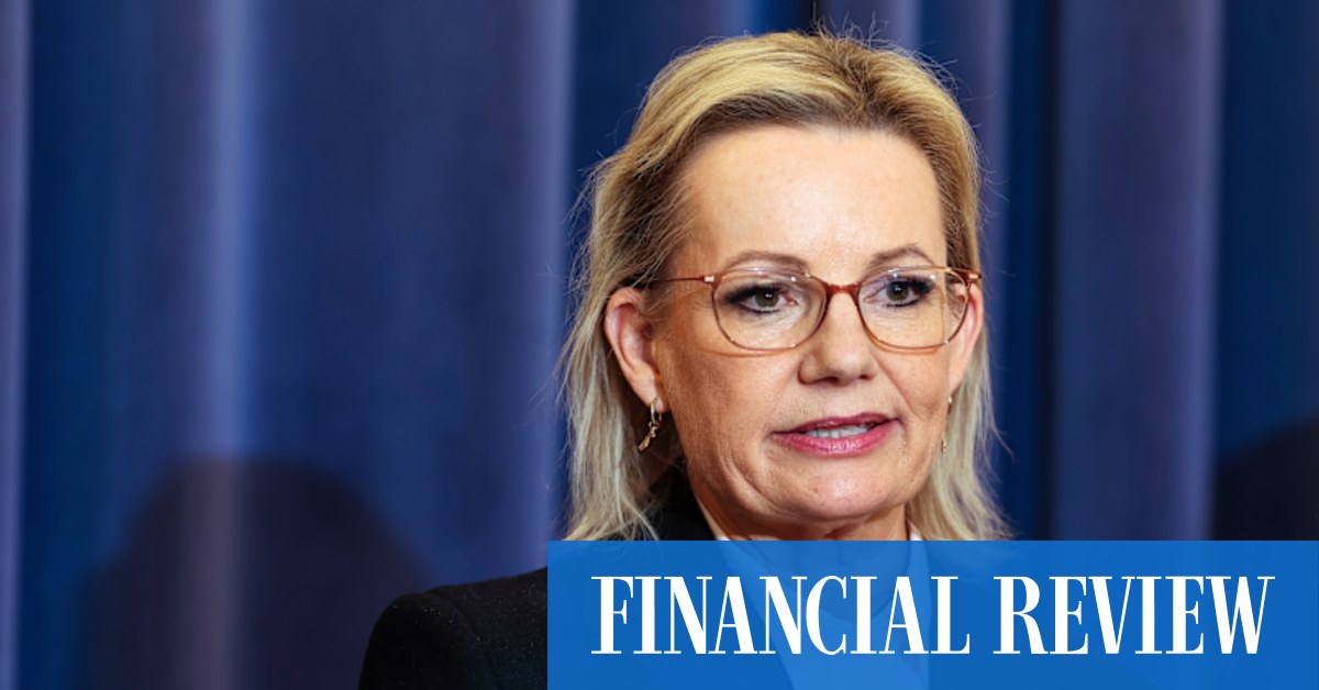 Sussan Ley Faces Another NSW Liberal Test