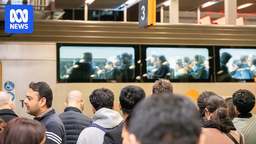 Sydney Train Delays: Catastrophic Wire Fall