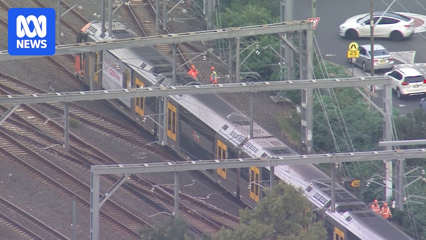 Sydney Trains: Passengers Trapped, High-Voltage Cable Incident