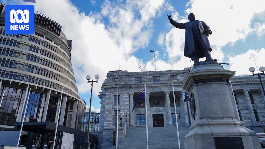 US & NZ: Charter School Public Funding Debate