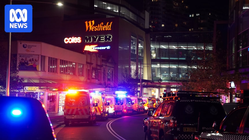 Westfield Security Guard's Skills Questioned After Stabbing